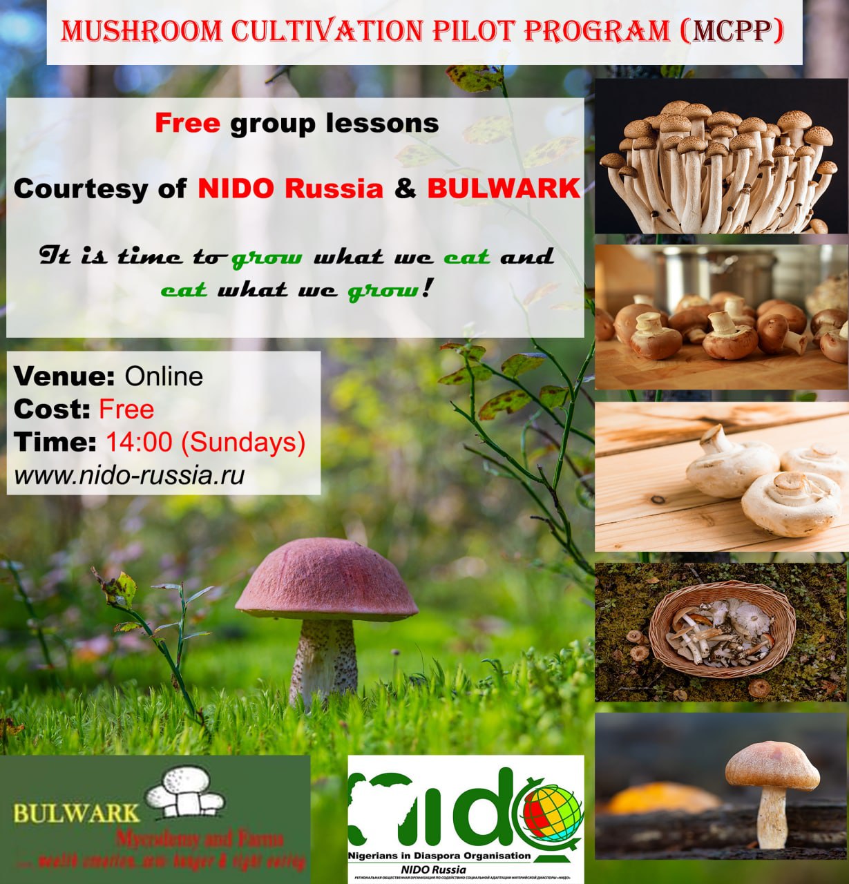 Mushroom Cultivation Pilot Program (MCPP)